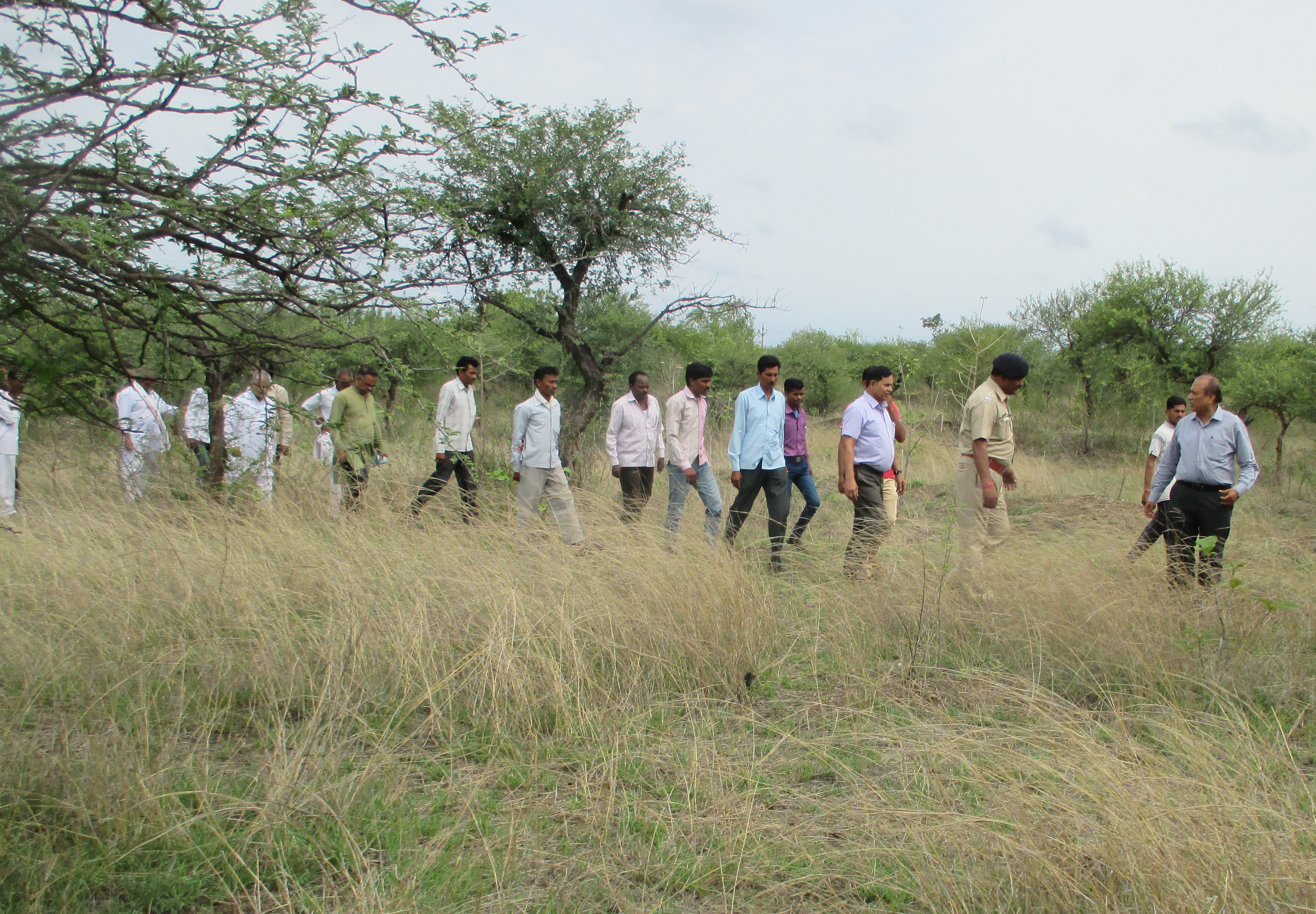grassland - ralo 